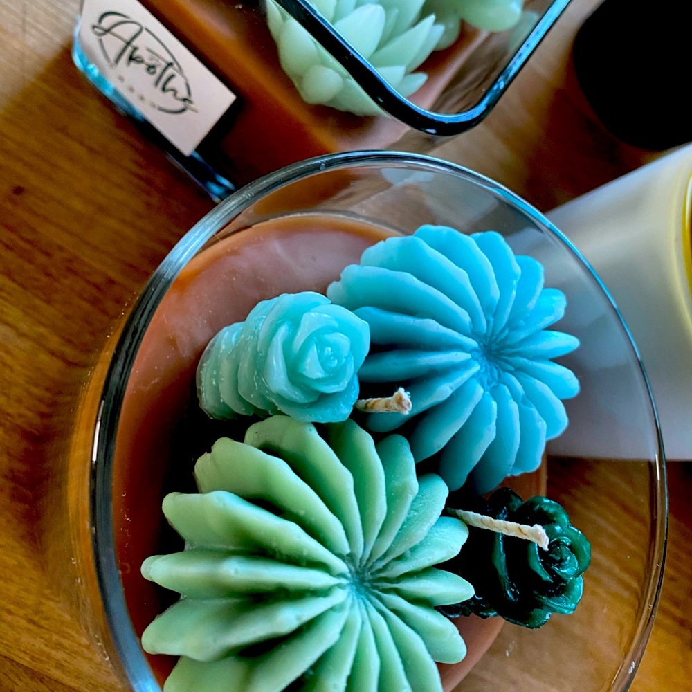 Succulent candle